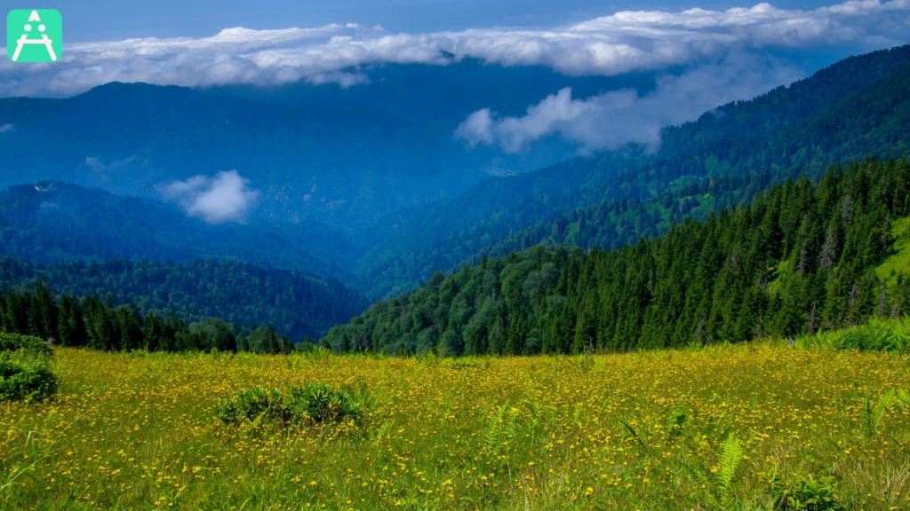 Kulakkaya Yaylası Giresun