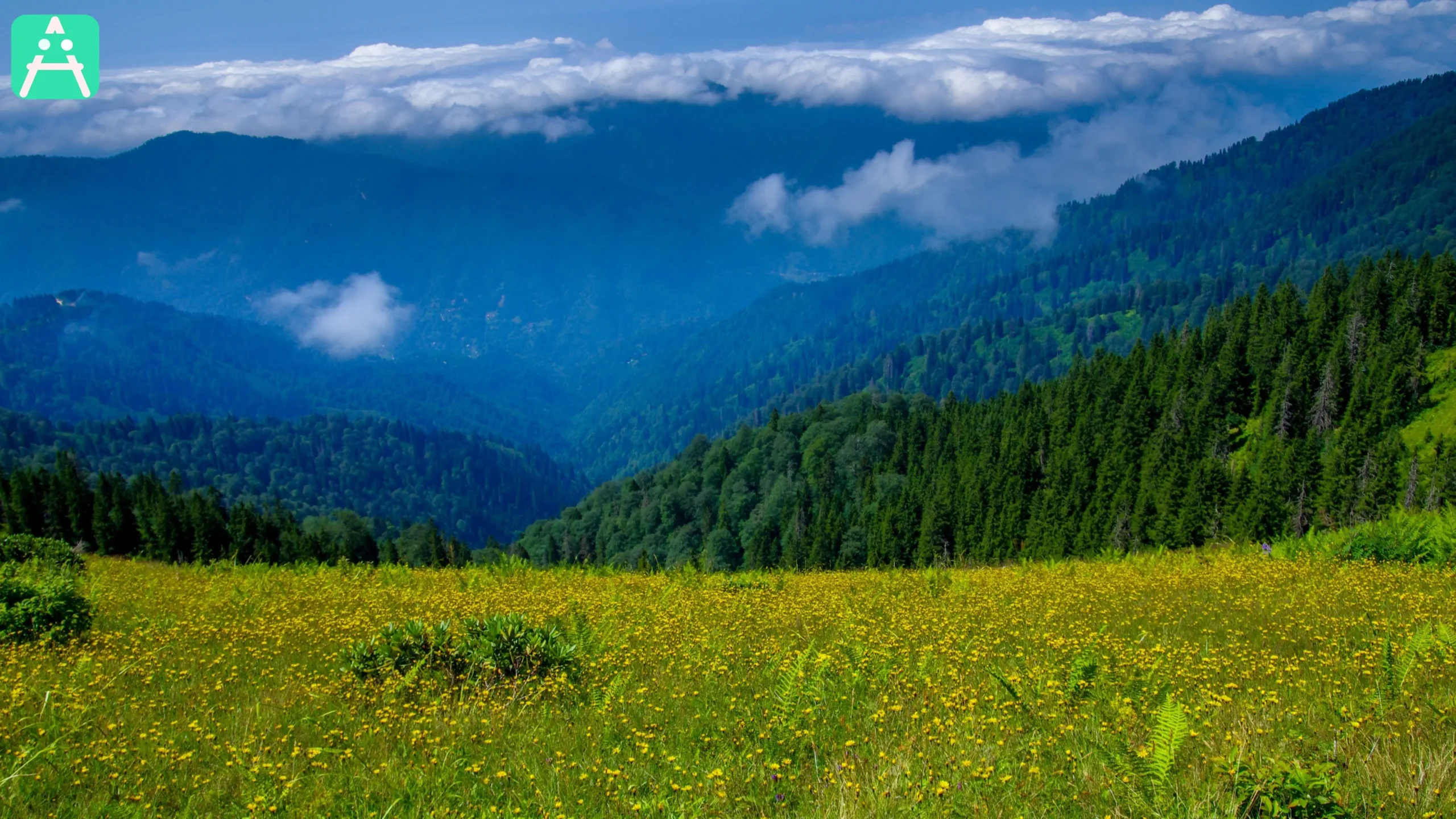 Kulakkaya Yaylası Giresun